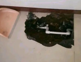 册亨卫生间测漏水多少钱